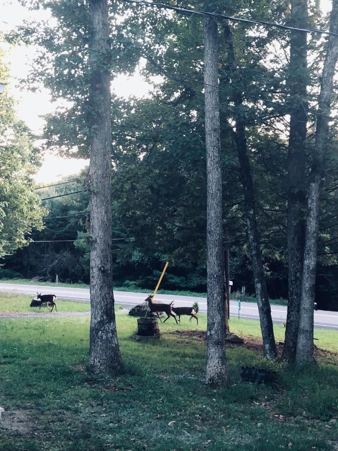 Amazing Poconos House . Sauna/Hot Tub/Private Pool East Stroudsburg Eksteriør billede